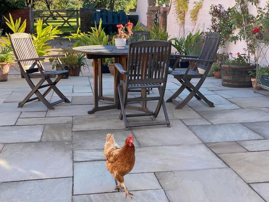 Cottage Barn Conversion On Working Farm 우스터 외부 사진