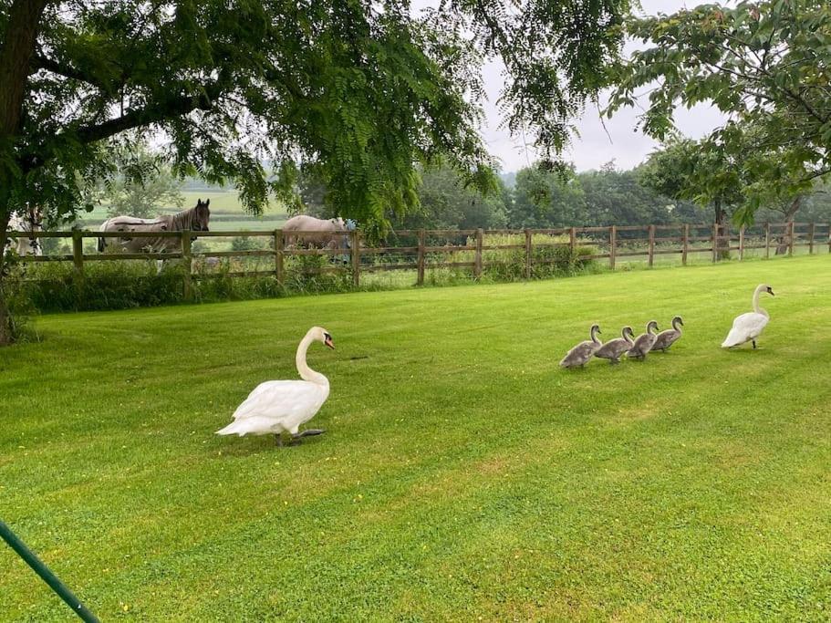 Cottage Barn Conversion On Working Farm 우스터 외부 사진
